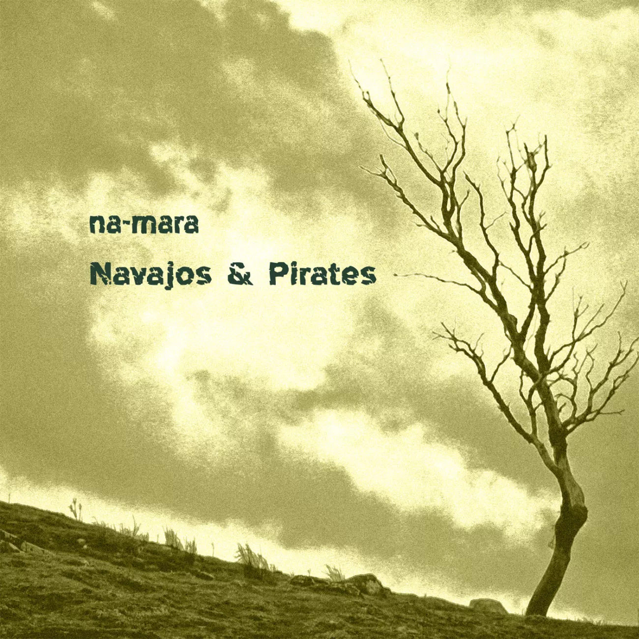 Navajos and Pirates